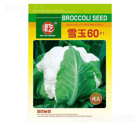 花菜種子-雪玉60-邯豐農(nóng)業(yè)