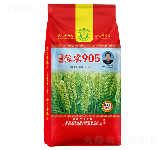 國審豫農(nóng)905小麥種子-邦邦種業(yè)