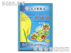 һ��-�����ࣨƽ���ͣ�