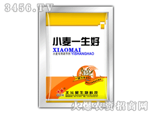 ������-С��һ���ã�С�����ã�