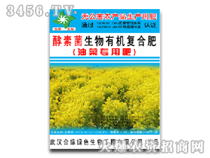 �Ͼ�-�Ͳˌ��÷�