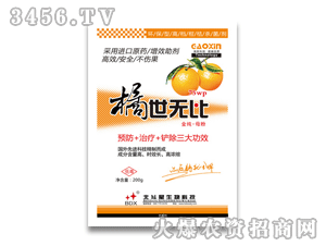 ������-�����o��