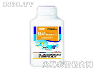 ������-�}��(d��ng)