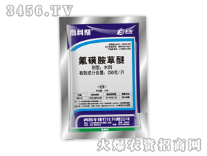 �߿Ƅ�-���ǰ�����