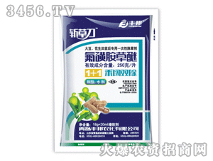 �زݵ�-���ǰ�����