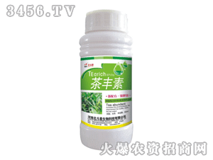 ������-���S��