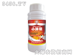 ������-С�ֶ�