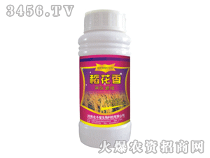 ������-������