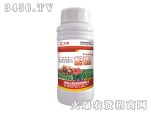 ������-����