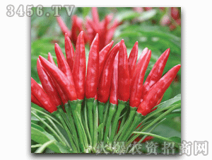 ϲ���S-�A��9̖F1