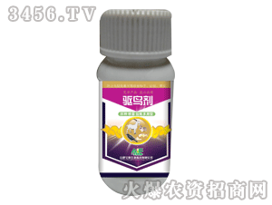 ���S-ͨ����50g�(q��)�B��ˮ��