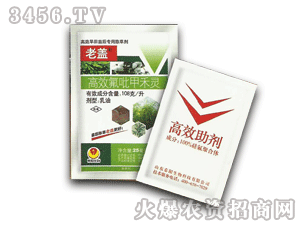 ���w̩�+��~����