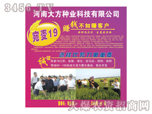 ��-����19