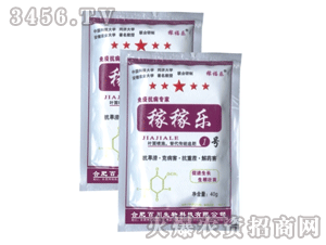 �ٴ�-�ڼژ�1̖