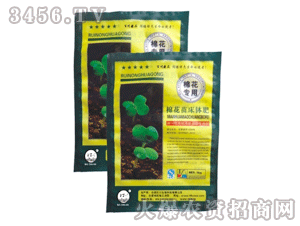 �ٴ�-�޻��紲����