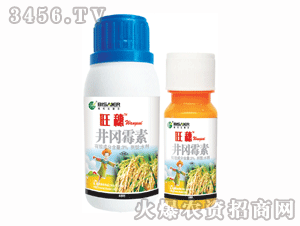 ��ِ��-����