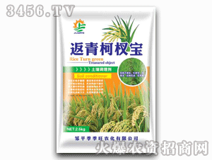 ������-�����辌�