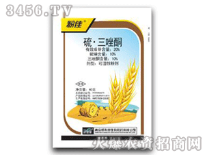 �ۼ�-������ͪ