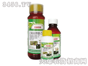 ˮ����ɫ-������������