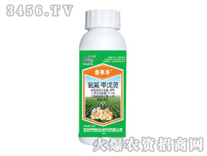 ���݃�-���������`