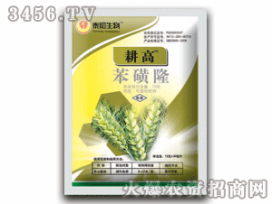 ̩�-���ߣ�����