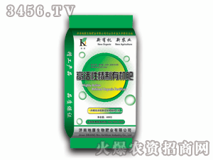 �߻����ЙC(j��)��