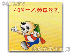 ���h-40%����ݬ�Ҹ���