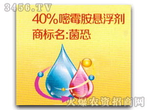 ���h-����-40%��ù���Ҹ���