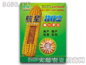 ���к���802�����׷N�ӣ�