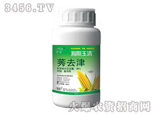 38%ݬȥ��-�˹����