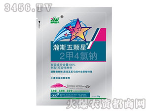 56%2��4���c-�˹���w��