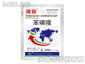 10%����¡-�O