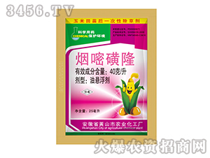 40��/�����׻�¡-�{(l��n)���r(n��ng)�I(y��)