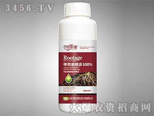 �ך��ظ���������-��᷾G��