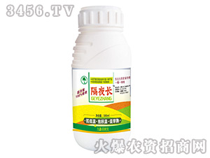 �~���-��ҹ�L-���Ԫ