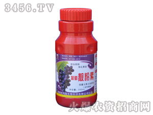 ���ь�(zhu��n)��ˮ�ܷ�-�����n����-�W��˹