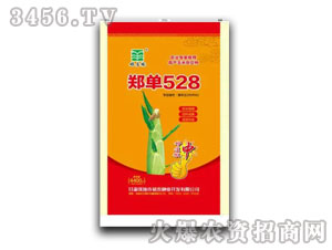 ����528�����s���N-���f��