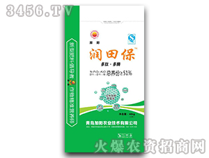 ��(f��)�����21-21-9-���ﱣ-���