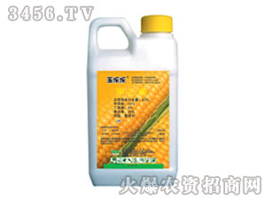 夏玉米田除草劑-玉樂(lè)樂(lè)-綠邦