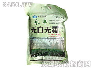 �o(w��)�ןo(w��)˪-�Z��