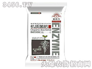 �C�|����-���� 