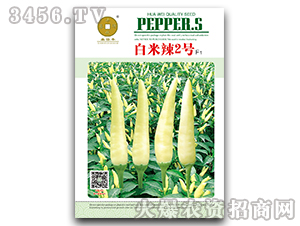 ������2̖(h��o)F1-�����N��-ϲ���S-�A��N�I(y��)