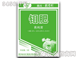 �ڵ���-�f��