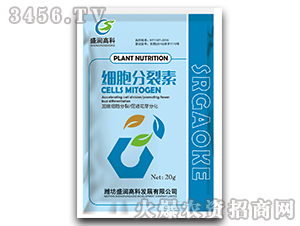 ����������-ʢ���߿� 