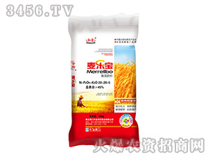 ��(f��)�����20-20-5-����(l��)��-���S