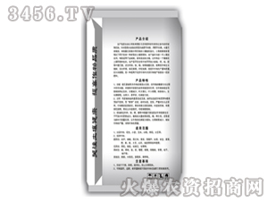 �����-�ؿ�