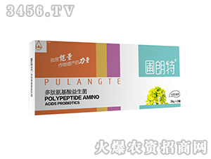 �Ͳ�ͨ�ö��İ�����������-������