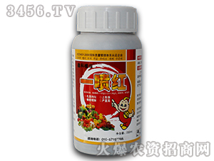 ֲ�����L(zh��ng)�{(di��o)��(ji��)��-һ���t-�ο�ֲ�� 