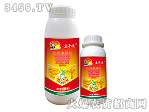 35%�ɡ�ୡ����ǰ�����-��ǧ�-�G�µ�