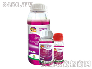 ���@�ˮ��-�ϟoۙ-�G�µ�